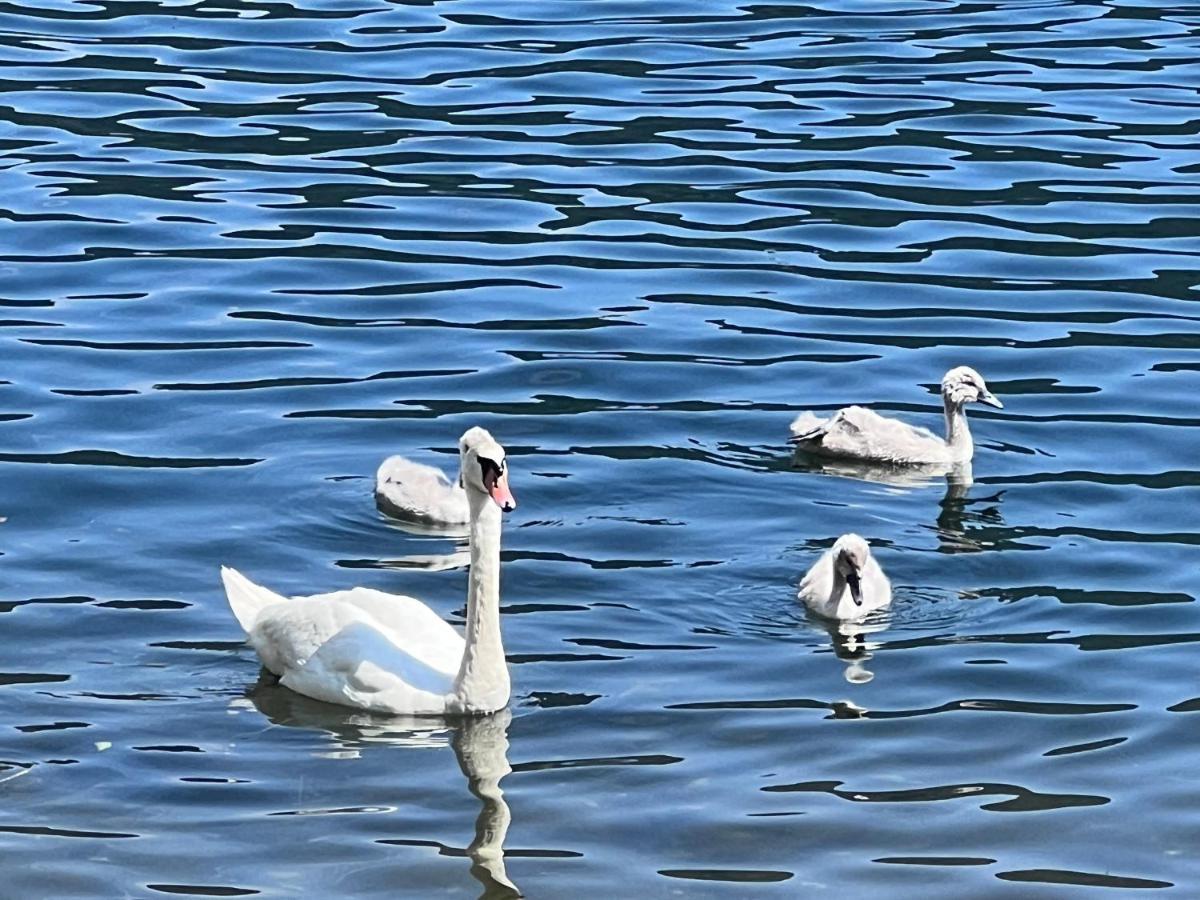Ferienwohnung Mit Seeblick - Ossiacher See Gerlitzen 사텐도르프 외부 사진